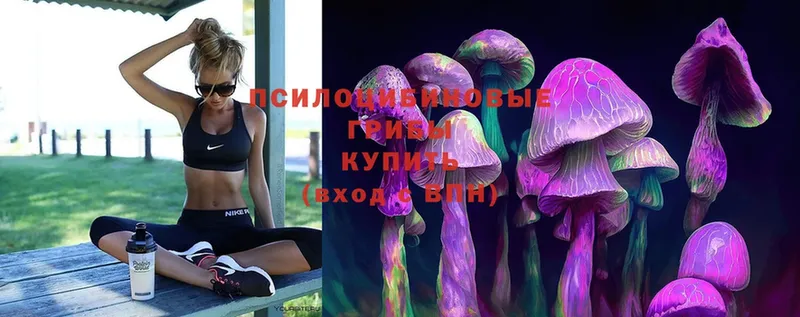 Псилоцибиновые грибы MAGIC MUSHROOMS  Азов 